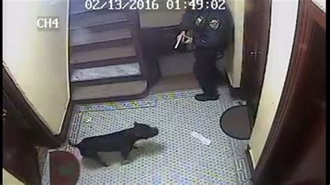 cop shoots dog.